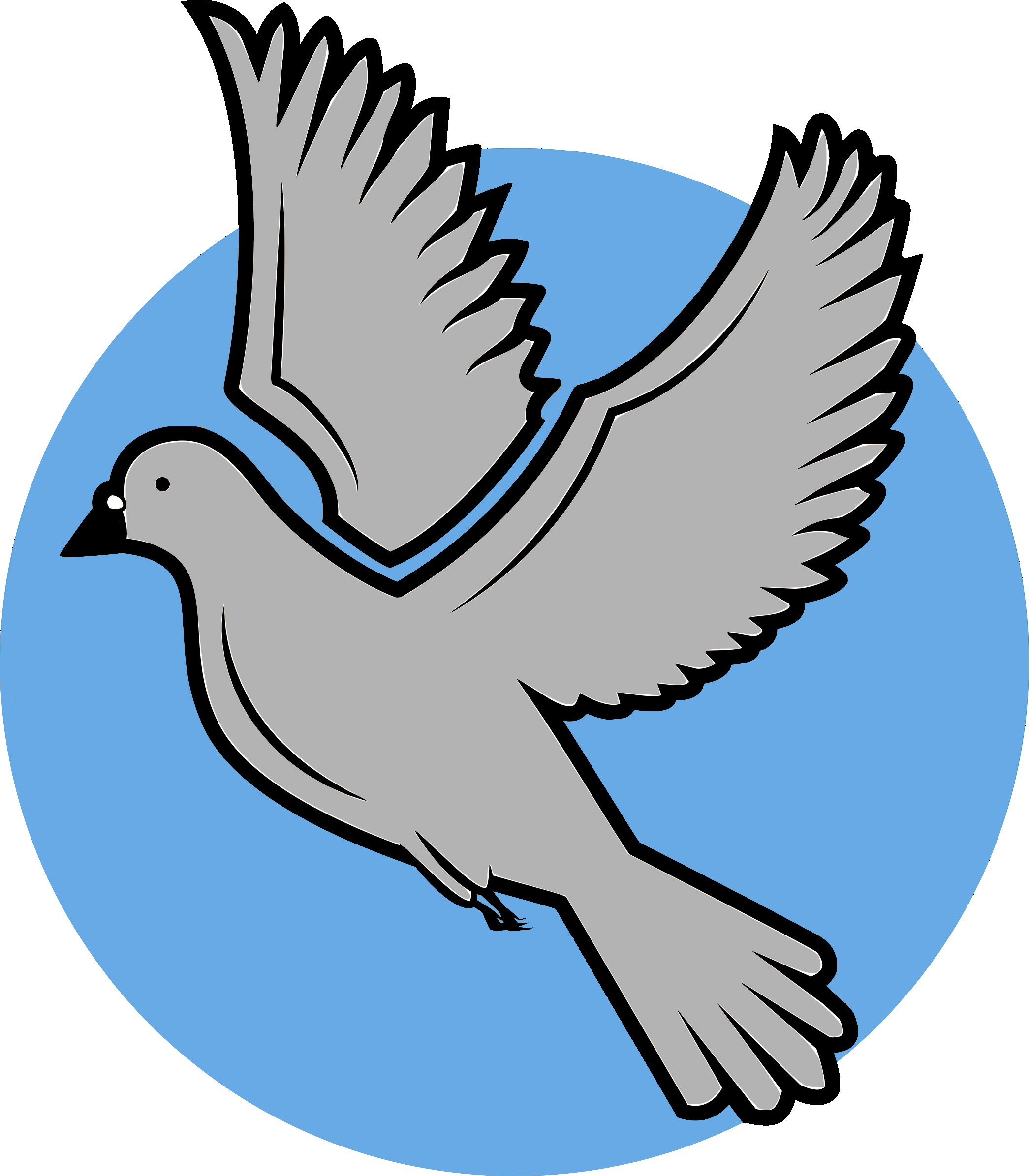 Stadttaubeninitiative Hameln e. V.